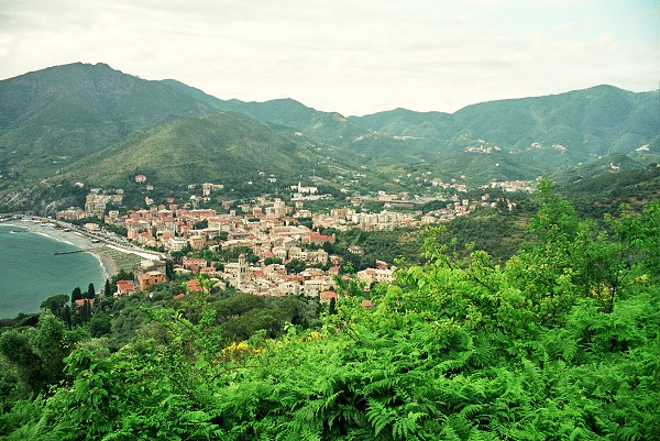 img00049.jpg