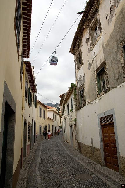 img00009.jpg