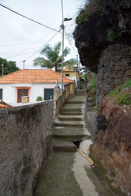 img00014.jpg
