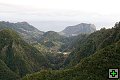 thn00160.jpg